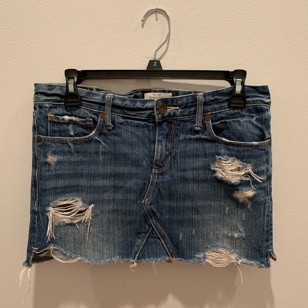 Abercrombie & Fitch Skirt